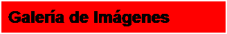 Cuadro de texto: Galería de Imágenes
